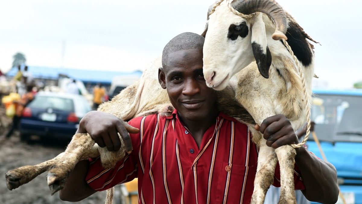 sallah festival