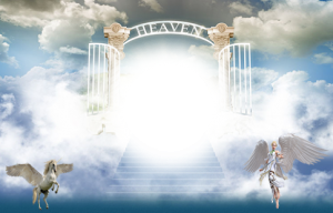 Who Is Going To Heaven?