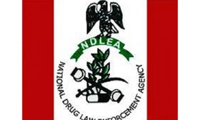 NDLEA