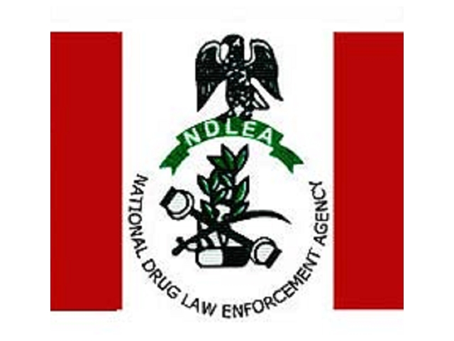 NDLEA