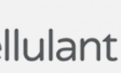 Cellulant Nigeria