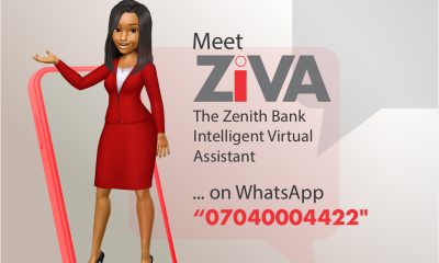 ZiVA