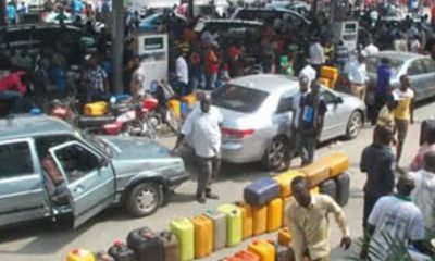 Fuel Scarcity The Octopus News