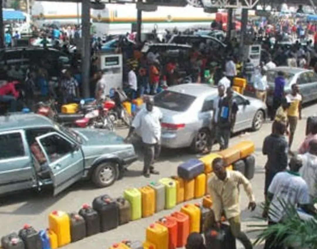 Fuel Scarcity The Octopus News