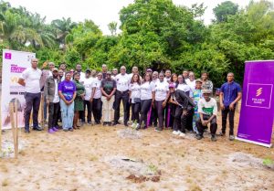 Tree Planting 